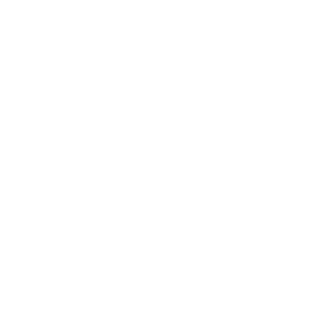 Governance Icon