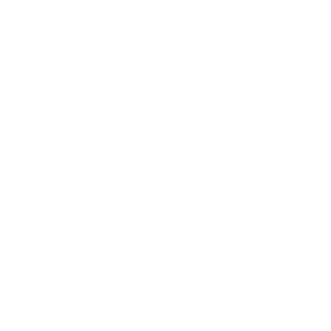 Engineer icon